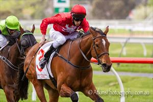 TOUGH MARE BREAKS THROUGH FOR CITY WIN